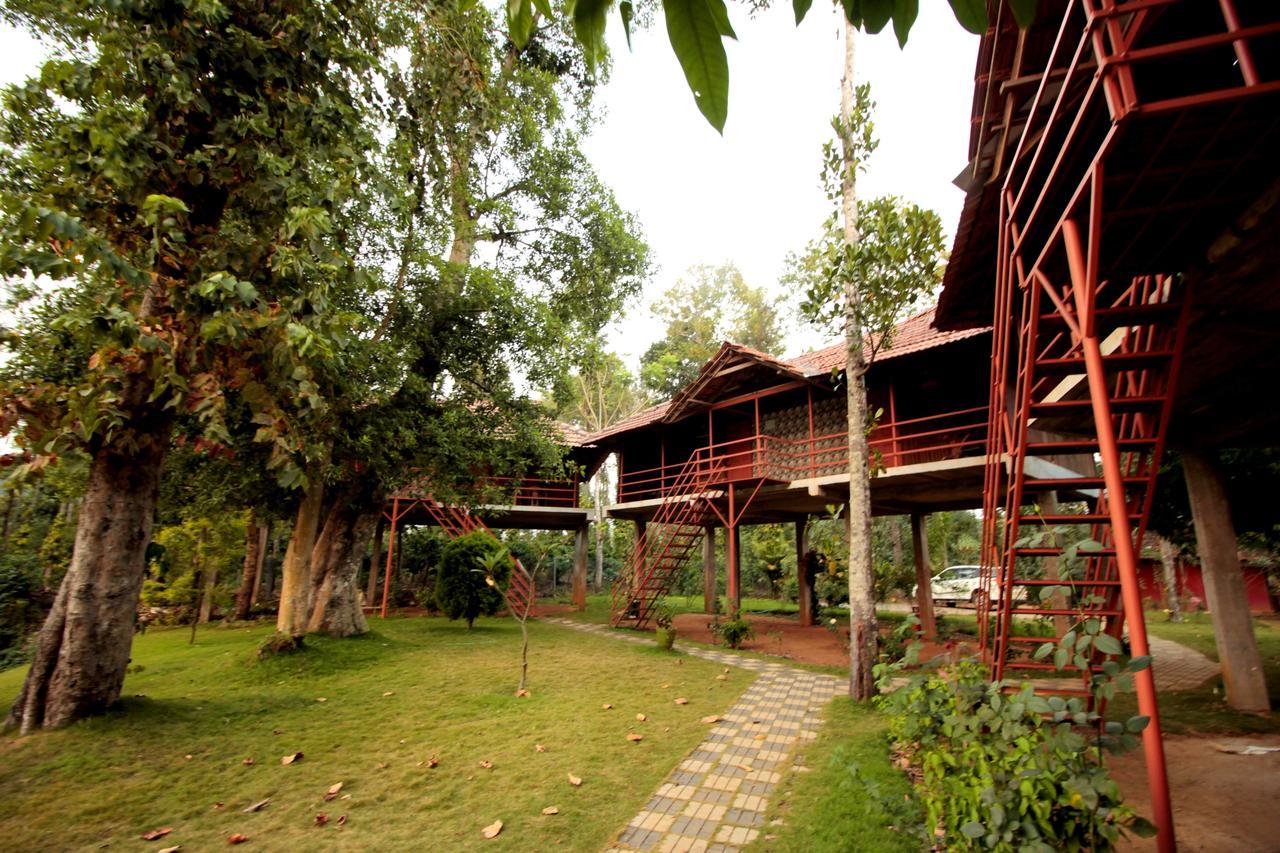 Pepper Green Wayanad Resort With Swimming Pool Kattikkulam Экстерьер фото