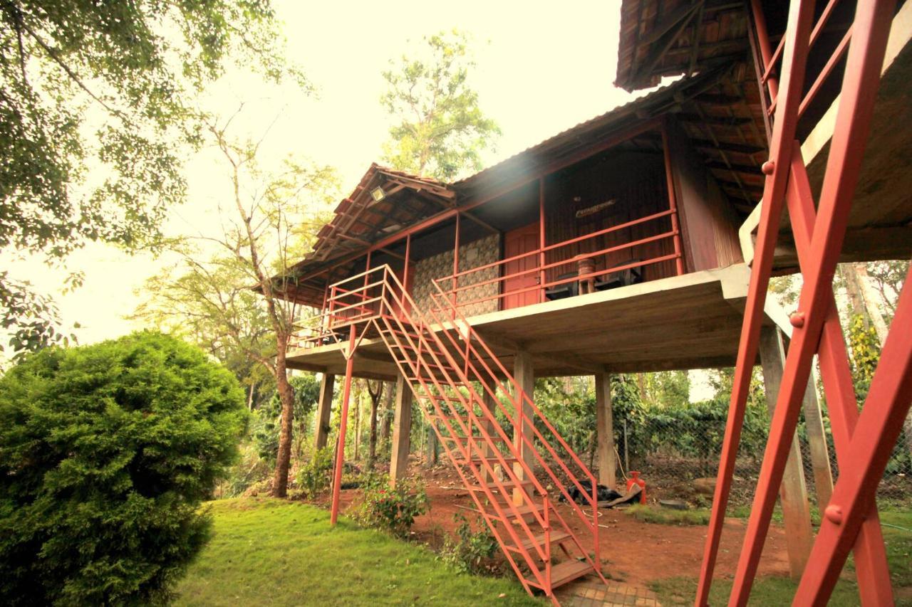 Pepper Green Wayanad Resort With Swimming Pool Kattikkulam Экстерьер фото