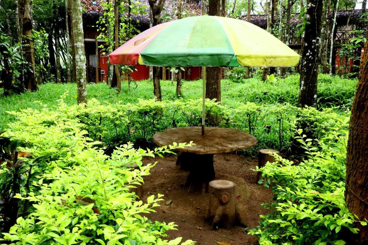 Pepper Green Wayanad Resort With Swimming Pool Kattikkulam Экстерьер фото